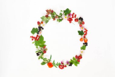 Yaz yaprakları ve meyveleri daire