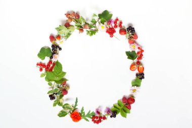 Yaz yaprakları ve meyveleri daire