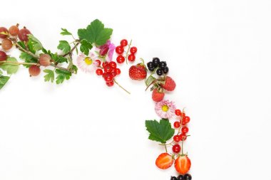 Yaprak ve meyveleri bileşimi