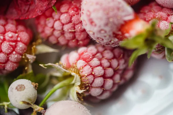 Close-up van bevroren frambozen — Stockfoto