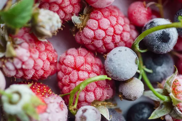 Крупним планом заморожені ягоди — стокове фото