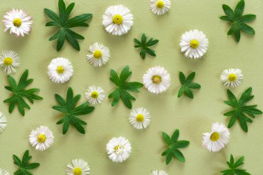 güzel çiçek dekorasyonu