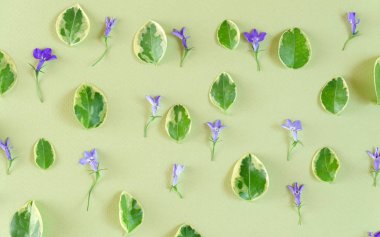 güzel çiçek dekorasyonu