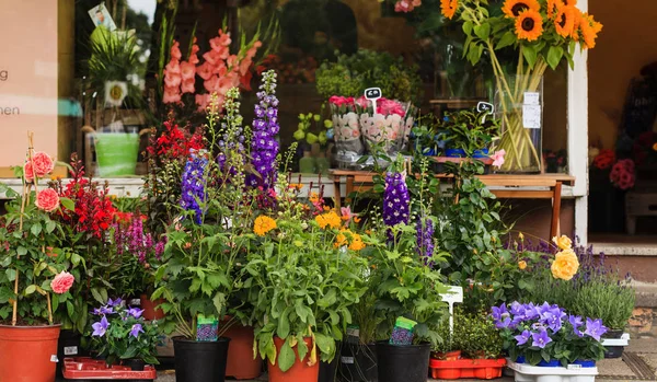 Diferentes flores en floristería — Foto de Stock