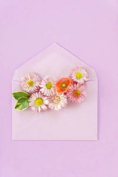 Beautiful flowers composition — Stock Photo, Image