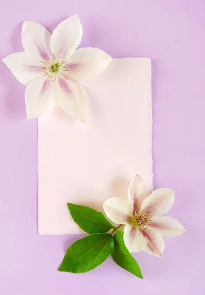 Krásné květiny složení — Stock fotografie