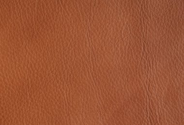 papulose deri arka plan