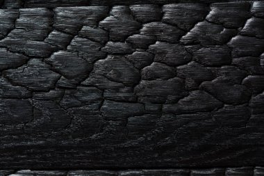 yanık ahşap kömür doku 