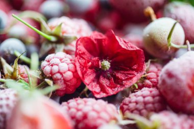 farklı dondurulmuş meyveler