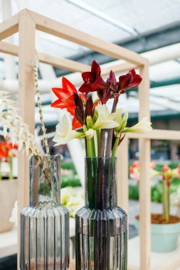 Lila şube manzarası