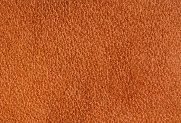 Papulose leather background — Stock Photo, Image