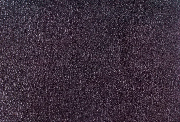 Papulose Leder Hintergrund — Stockfoto