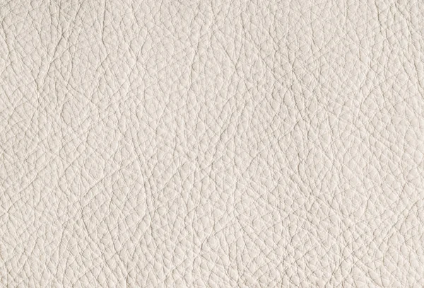 Papulose leather background — Stock Photo, Image