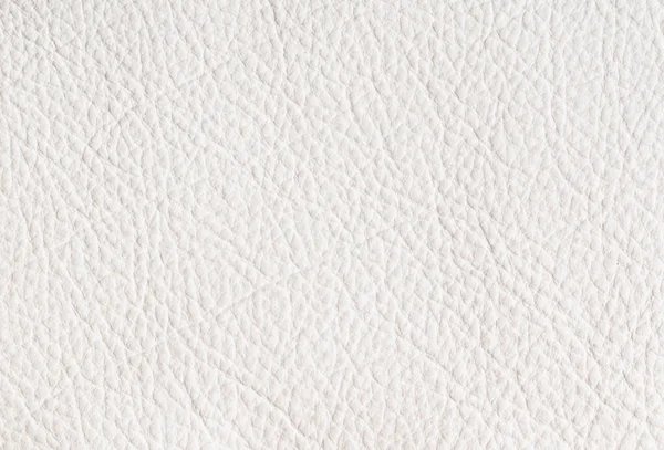 Papulose leather background — Stock Photo, Image