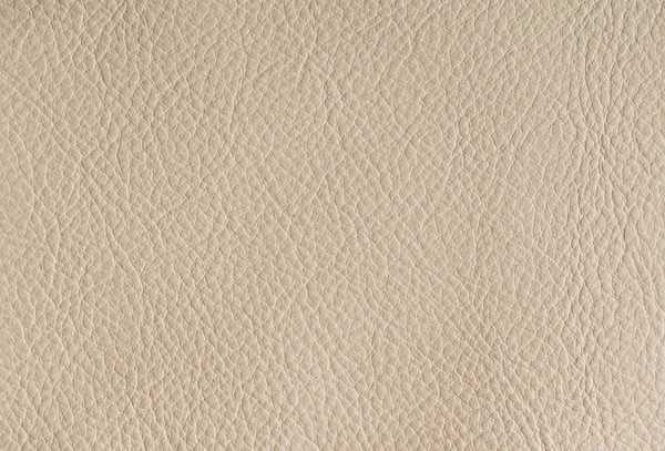 Papulose leather background — Stock Photo, Image