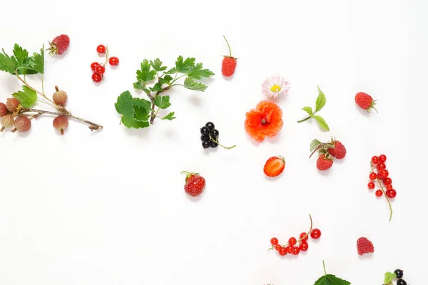 Летние ягоды и цветы — стоковое фото