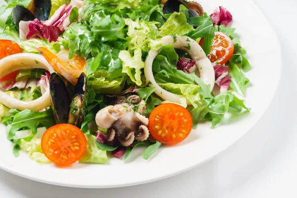 Lila şube manzarası