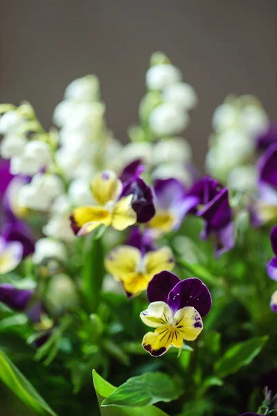 春の花花束 — ストック写真