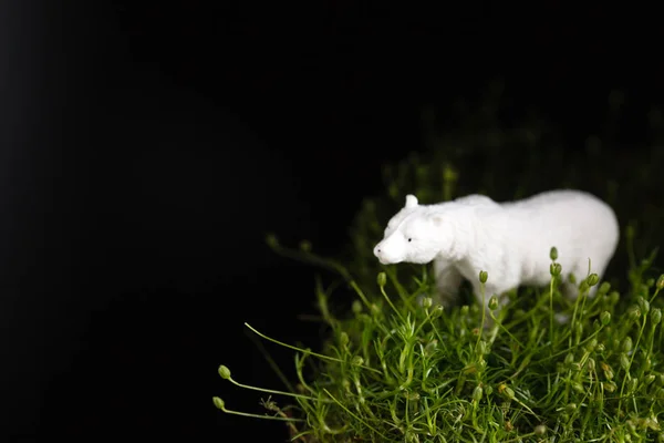 Dieren speelgoed op het gras — Stockfoto