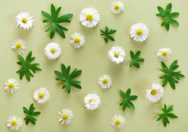 güzel çiçek dekorasyonu