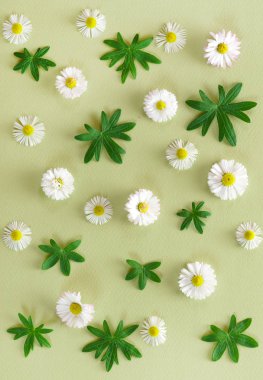 güzel çiçek dekorasyonu