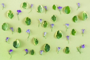 güzel çiçek dekorasyonu