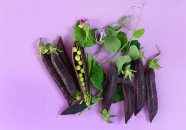 limon ve beyaz halfes