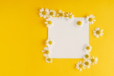 Papatya çiçek kartı