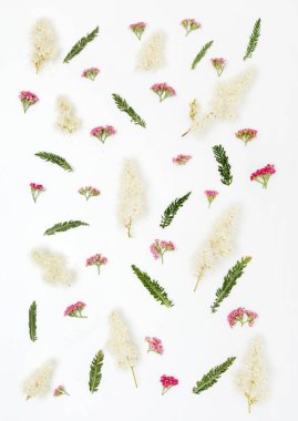 Beyaz arkaplanda çiçekler