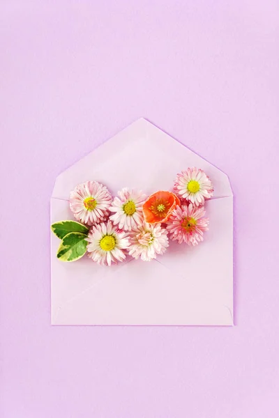 Beautiful flowers composition — Stock Photo, Image