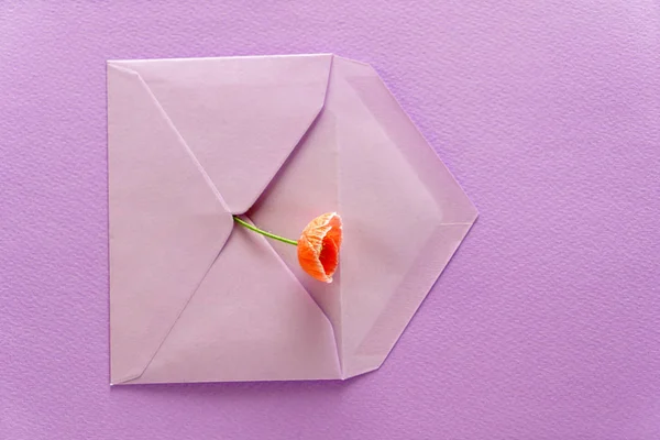 Bela composição de flores — Fotografia de Stock