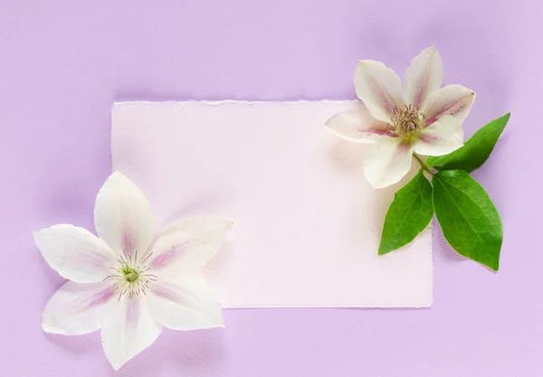 Beautiful flowers composition — Stock Photo, Image