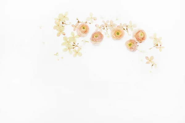 Flores sobre el fondo blanco — Foto de Stock