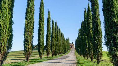 güzel Toskana peyzaj