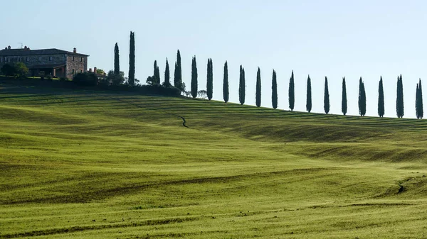 Piękny krajobraz Toskanii — Zdjęcie stockowe