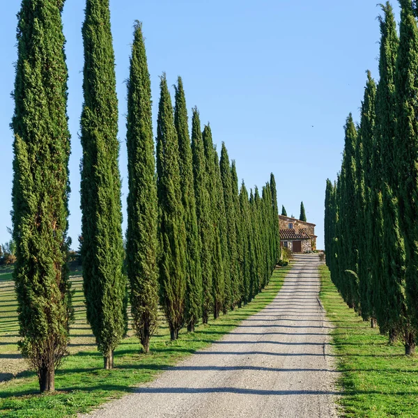 Vackra Toscana landskap — Stockfoto