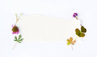 beyaz doğa kompozisyonu 