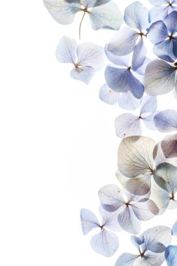 güzel çiçek kompozisyon