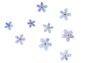 güzel çiçek kompozisyon