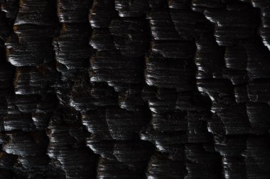 Ahşap yanmış doku