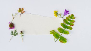 yeşil bitkiler ile kompozisyon 