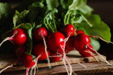 taze kırmızı turp