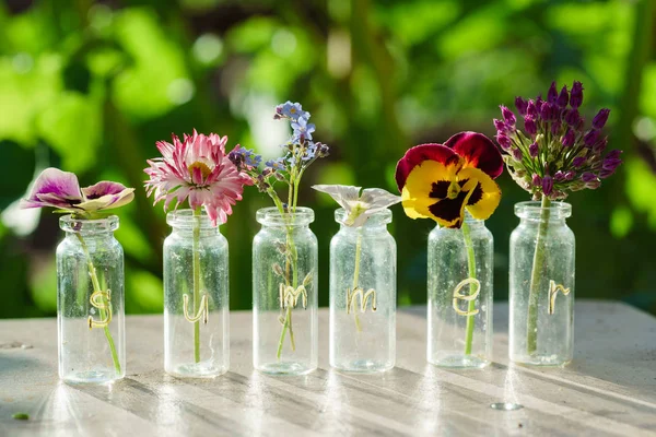 Літні квіти у вазах — стокове фото