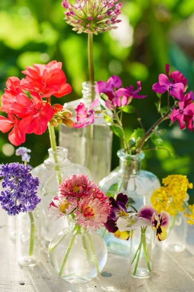 Flores de verão em vasos — Fotografia de Stock