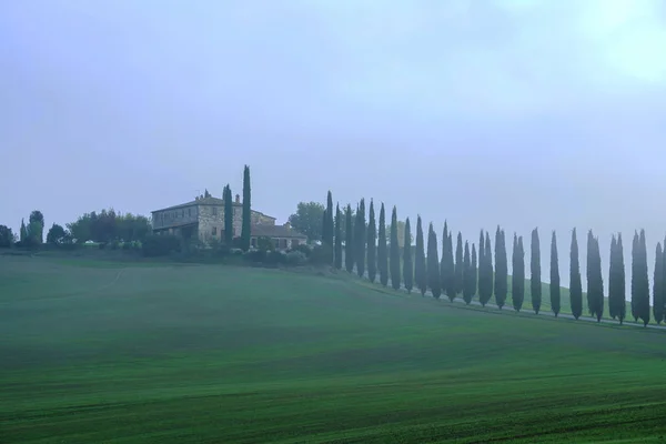 Zielone pola w Włochy — Zdjęcie stockowe