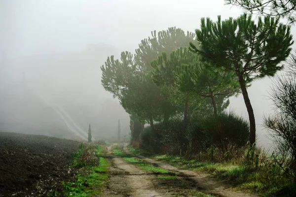 Paesaggio tipico italiano — Foto Stock