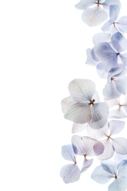  doğal çiçek kompozisyon