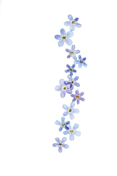 Természetes virág kompozíció — Stock Fotó