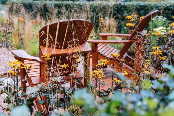 Jardim de outono com plantas — Fotografia de Stock