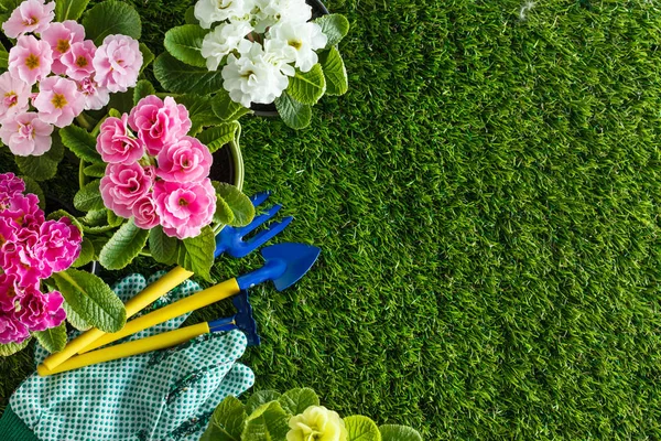 Güzel bahar çiçekleri